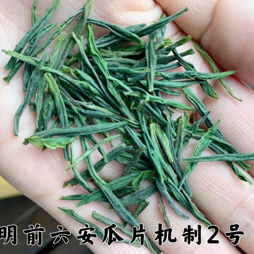 2025新茶六安瓜片明前茶2号小叶机制高山安徽茶叶高端礼品茶片茶