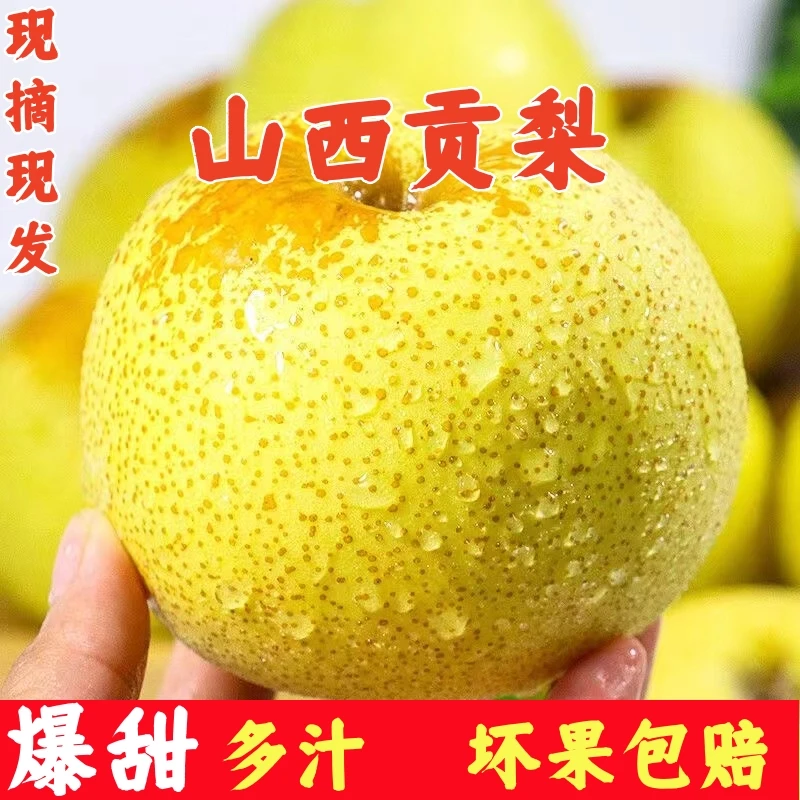 山西正宗冰糖雪梨贡梨新鲜孕妇水果9/5斤脆甜皮薄香甜爽口细腻