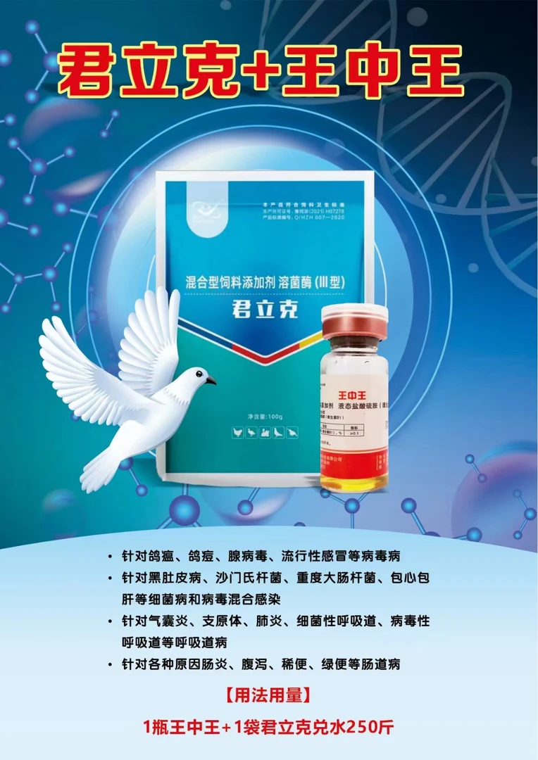 王中王+君立克，鸽黑肚皮，鸽沙门氏甩拉吐等细菌混合