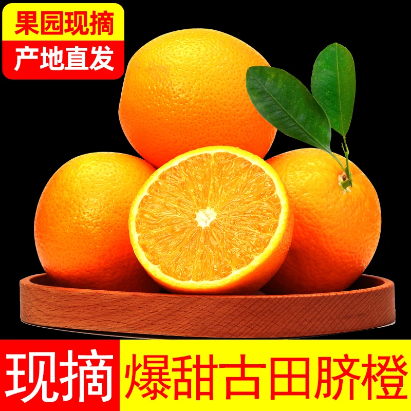 【坏果必赔】非赣南古田农家脐橙皮薄肉厚酸甜细腻农民山头采摘现发