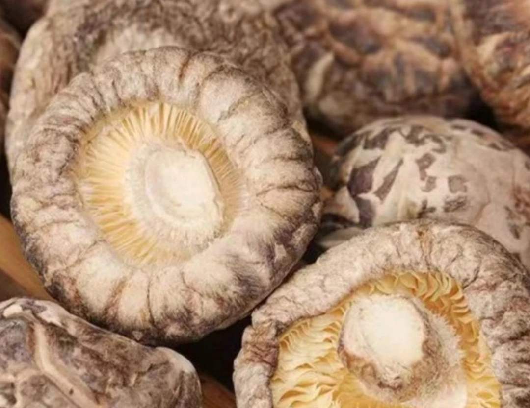 一斤丑花菇净重茶花肉厚湖北随州新货蘑菇肉厚冬菇香菇干货菇