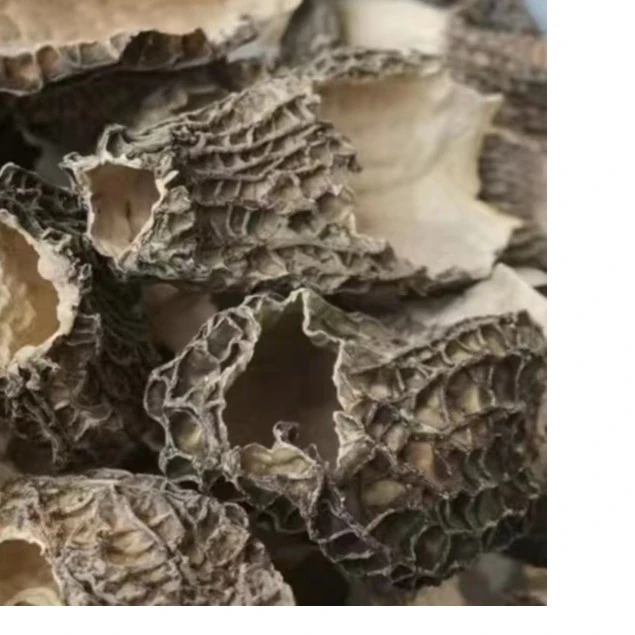 无脚羊肚菌 破洞破碎 营养不打折 湖北随州运输破损50克食用肉厚