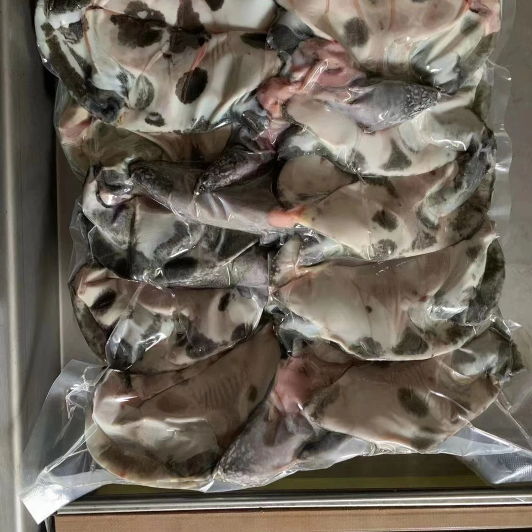 甲鱼鲜活宰杀半成品3-4两10只【宰后称重】卤甲鱼专供甲鱼肉