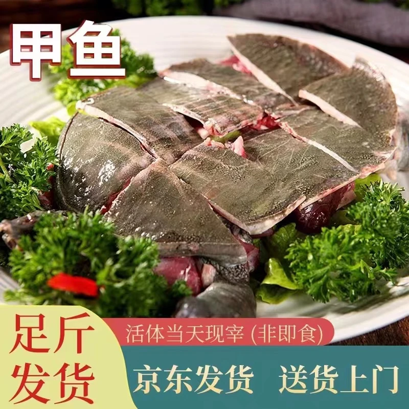 新鲜甲鱼肉塘口现宰 【400克一包3包】真空包装发货 鲜活养殖生长