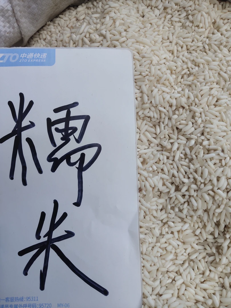 自家长 糯 米糯 米 偶尔几颗大米 不抛光不打蜡包粽子糯 米饭 5斤