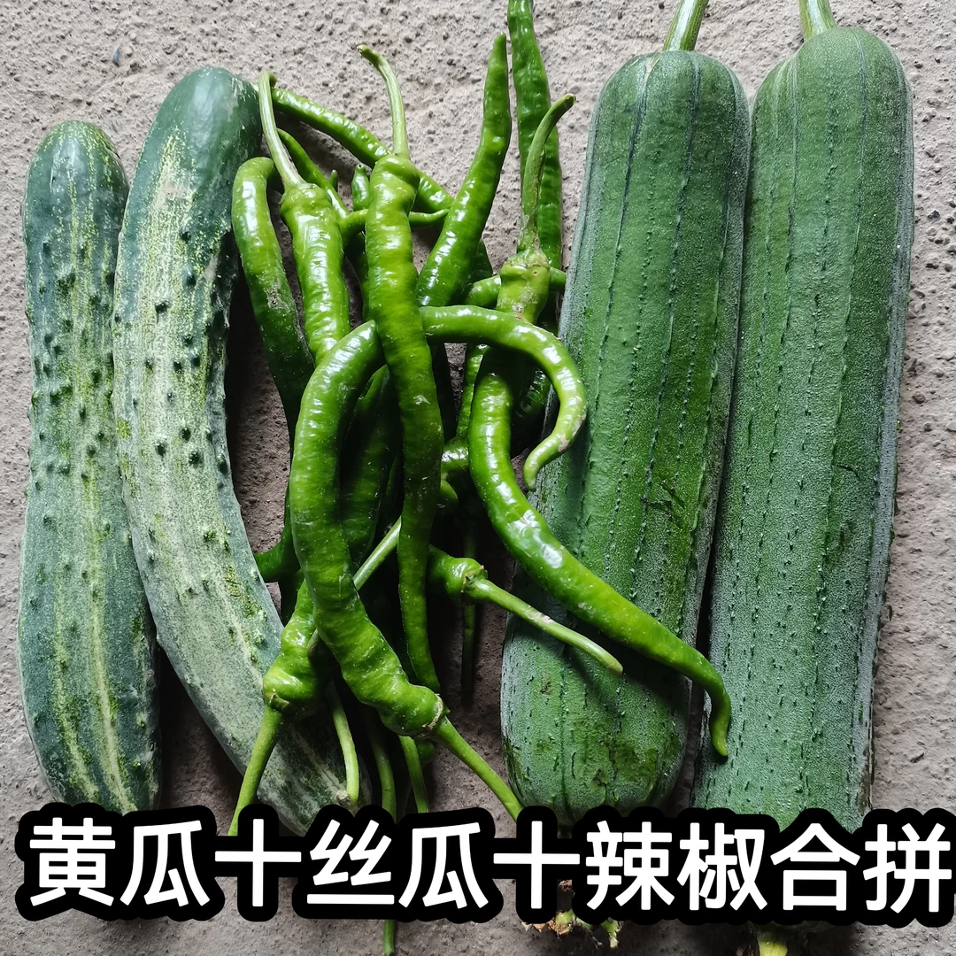 【丝瓜+辣椒+黄瓜合拼】湖南农家肥露天丝瓜+黄瓜随机+辣椒组合5斤