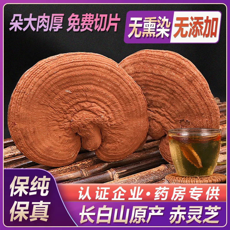 中冬赤灵芝正品长白山椴木赤灵芝粉中药材特级林灵芝切片泡茶泡酒