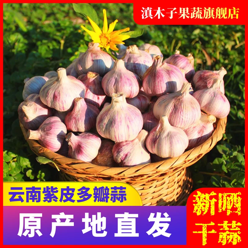 滇木子【精选12】云南紫皮多瓣蒜1/3/5/9斤干紫皮蒜大蒜头香辣饱满