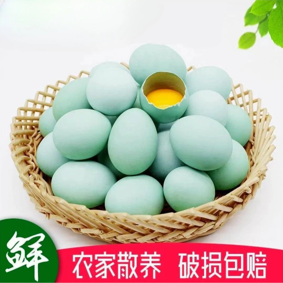【乐食鲜】12林间放养绿壳蛋乌鸡蛋40枚（整箱装）净重3.2斤 破损包赔