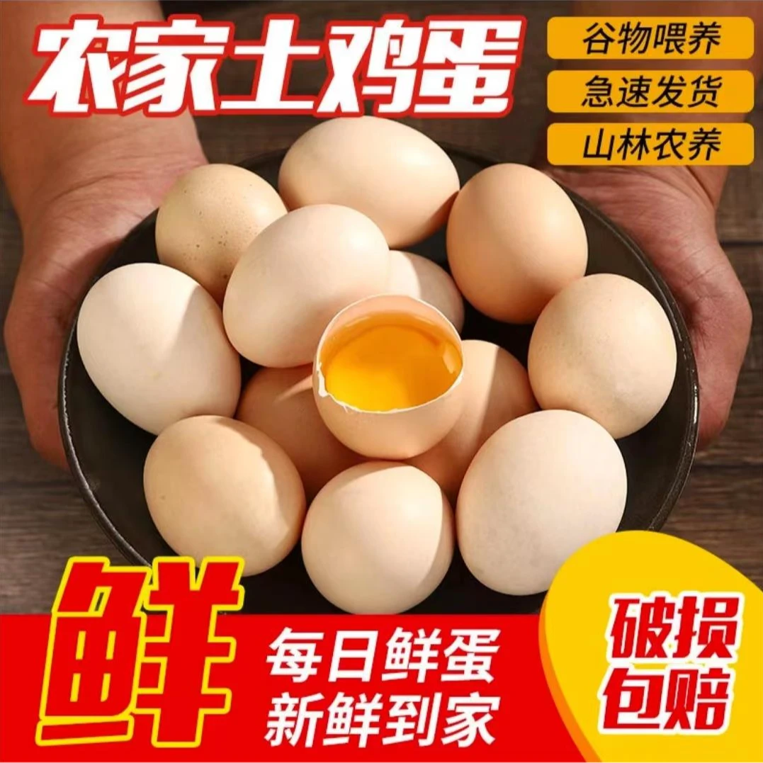 【懒懒家】新鲜现捡土鸡蛋 草鸡蛋 50枚（整箱装） 破损包赔