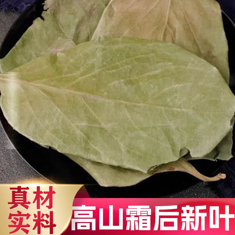 铮御堂柿子叶材柿子叶茶柿叶霜降霜后柿子树叶新鲜干货泡水喝