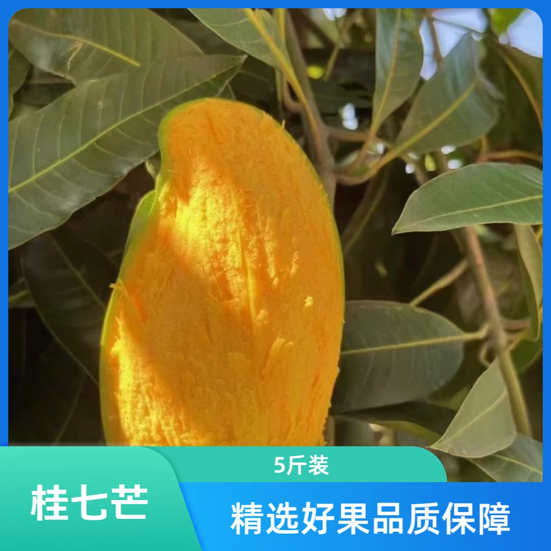 【福利回馈】广西桂七芒果一级中果5斤装约12-15个产地直发香甜