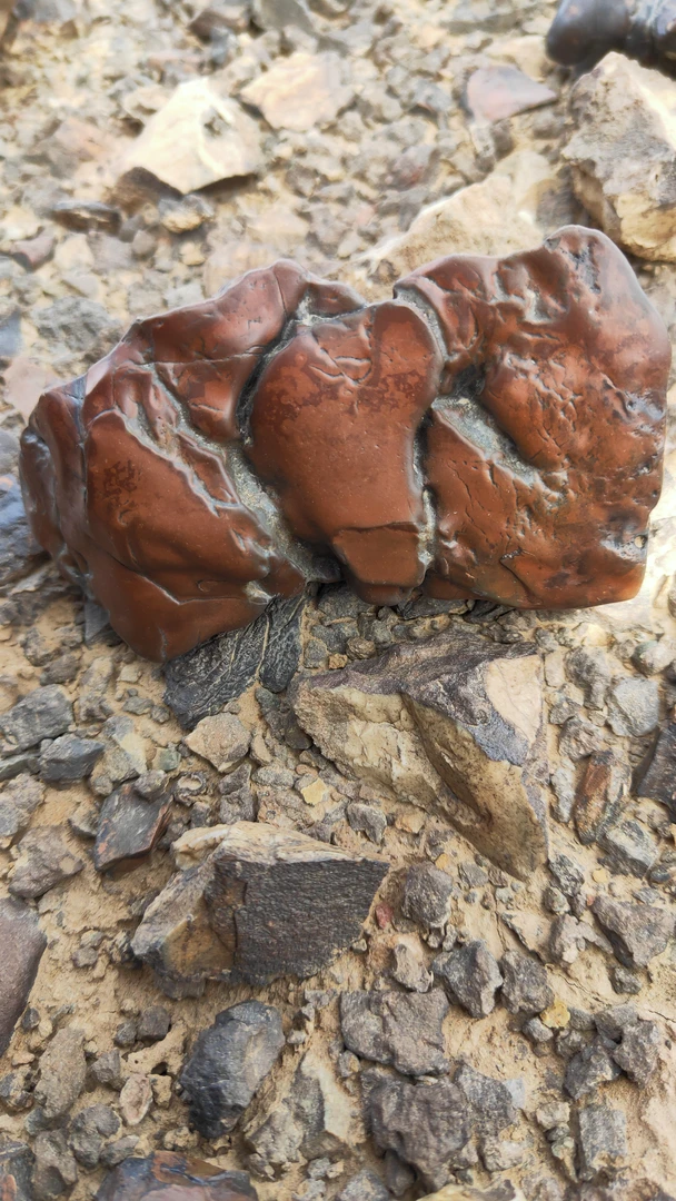 阿拉善戈壁石摆件景观摆件老皮戈壁石奇石牙石手把件复古创意老料