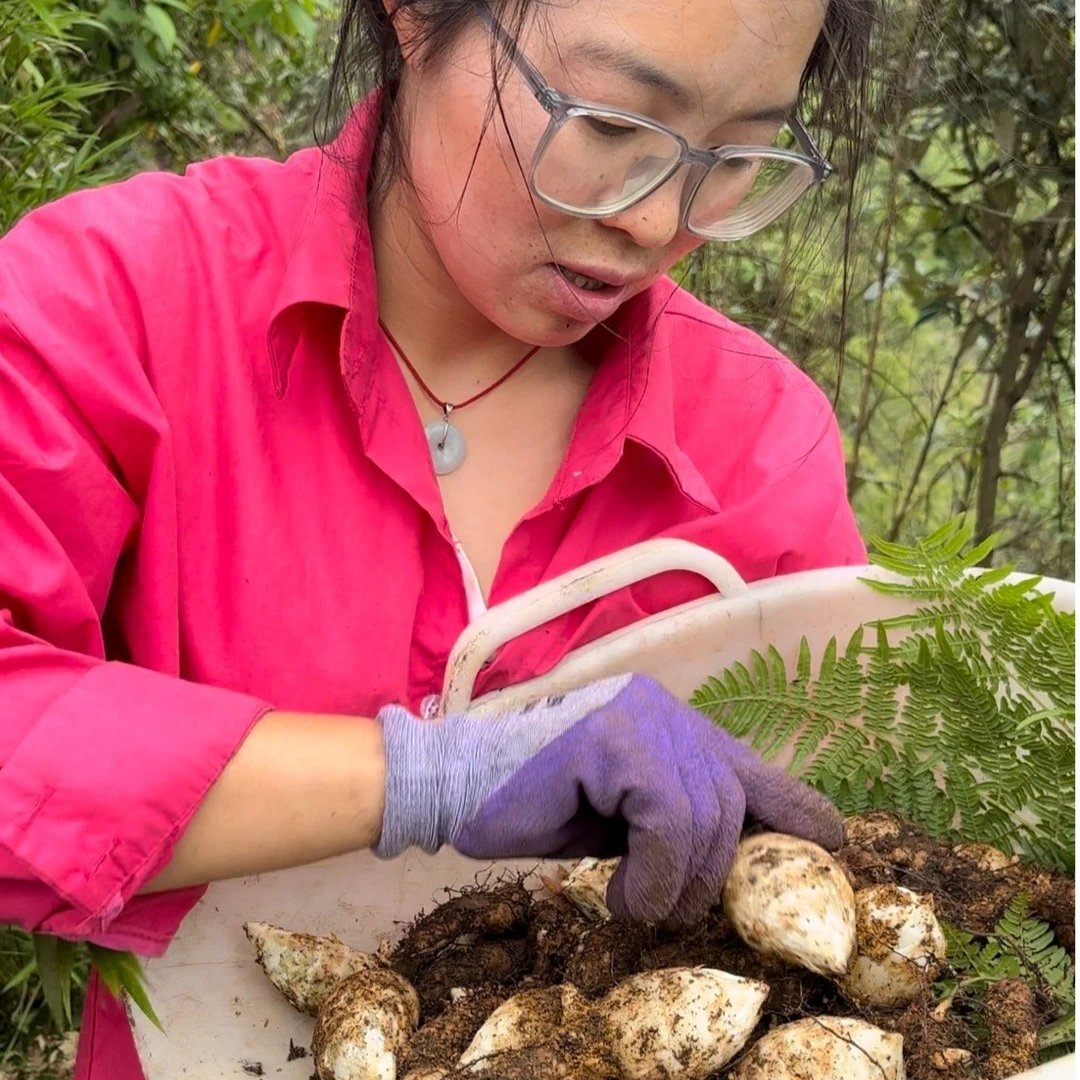 【头茬鲜麻尝鲜】云南昭通小草坝新鲜乌麻特别嫩250g麻农现挖现发