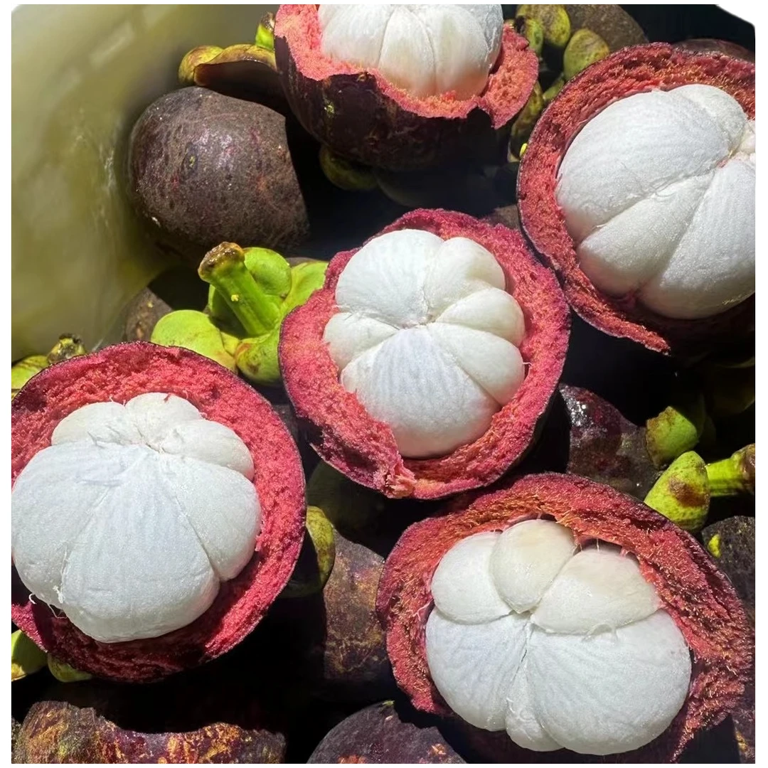 泰国山竹新鲜3A油麻竹当季整箱2斤（尝鲜装）