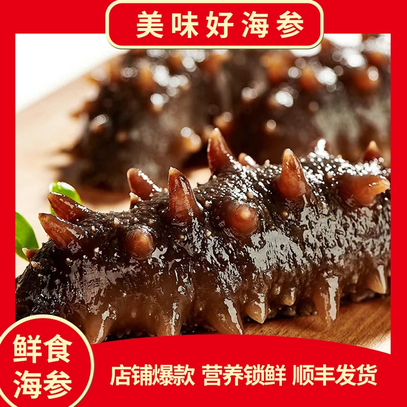 【直播间专属】鲜食海参冷冻（三斤实惠装）10-12头/斤