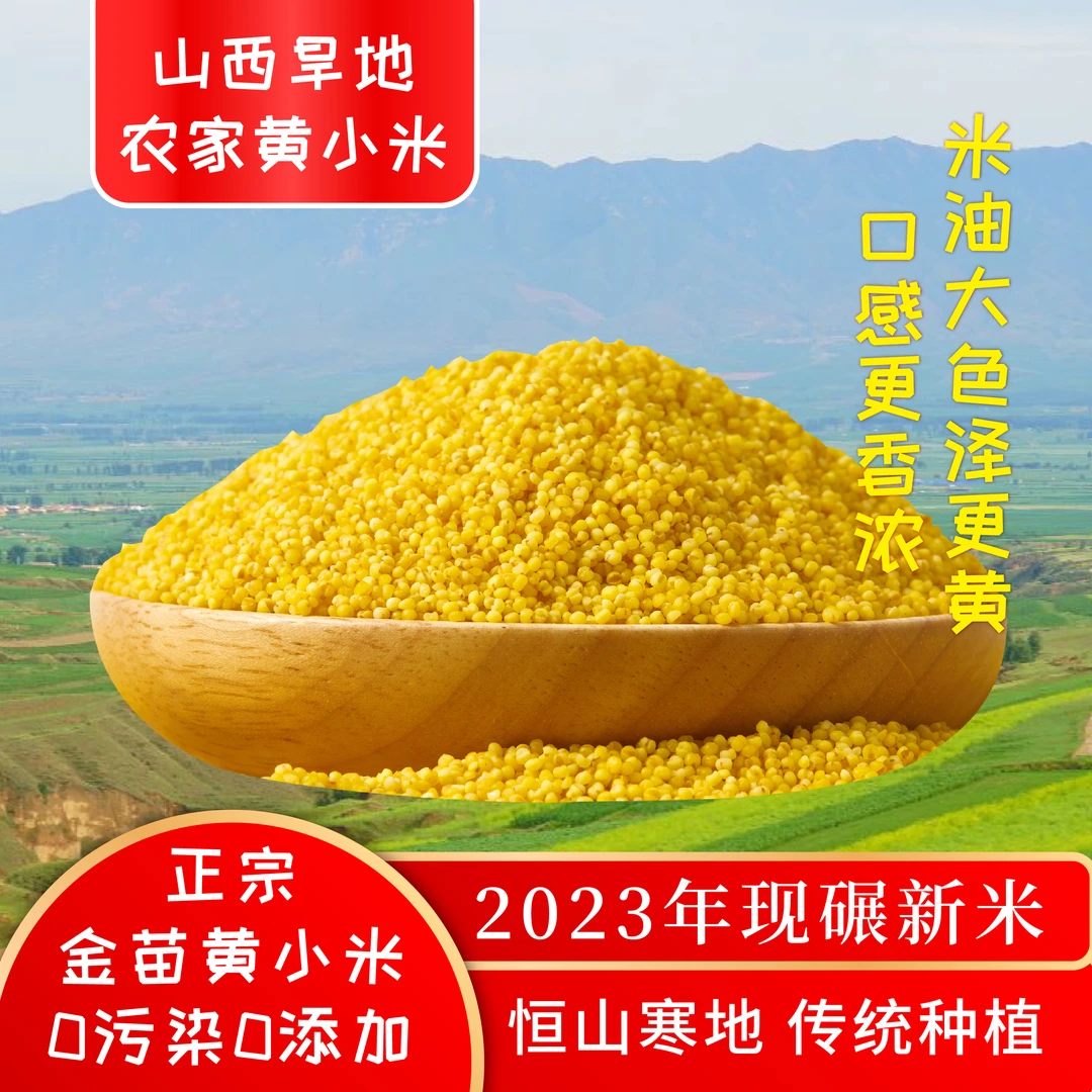 2024年新米山西旱地黄小米米油粗粮杂粮