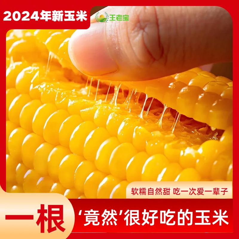 【到手12根】东北黄糯甜玉米减脂代餐黏玉米真空包装整箱6斤T