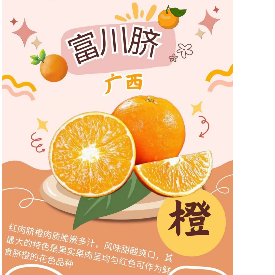 广西富川脐橙产地直发 新鲜中大果 /9斤 顺丰包邮