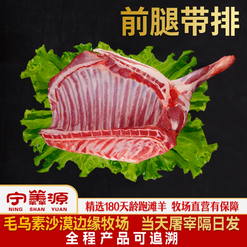 宁夏滩羊肉-羊前腿带排-6斤 新鲜牧场直发真空包装鲜肉非冷冻羊排