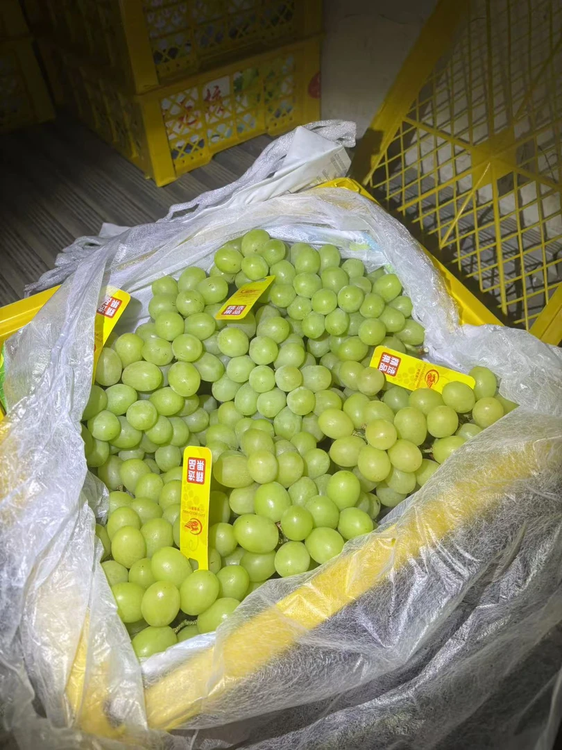 云南硬脆甜青提【同城配送】