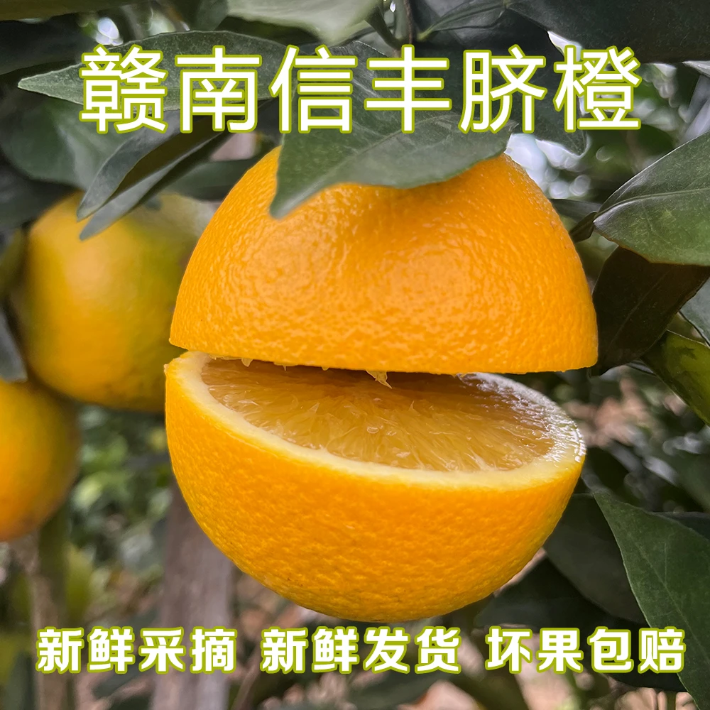 10斤京东包邮正宗赣南信丰脐橙自家果园直发新鲜采摘孕妇儿童秋冬