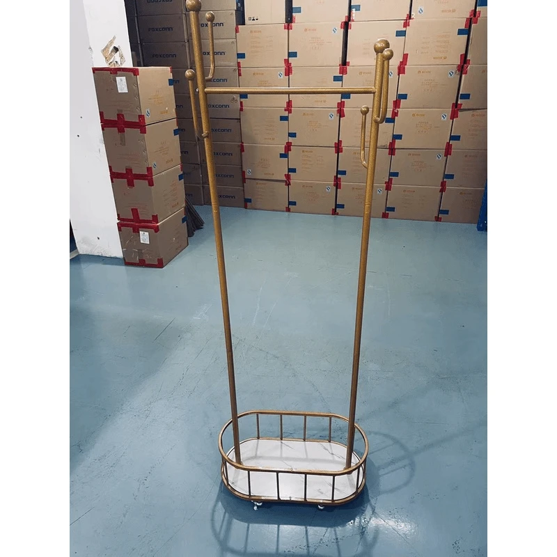 衣架落地卧室挂衣架可移动带轮家用客厅网红衣帽架落地家用衣帽架