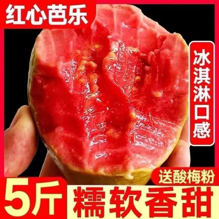 广西心软红心芭乐番石榴软心香甜白心应季当季新鲜水果红软鸡屎