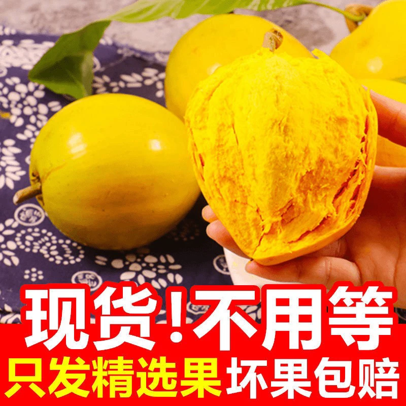 新鲜蛋黄果 鸡蛋果狮头果 云南/海南新鲜当季热带水果