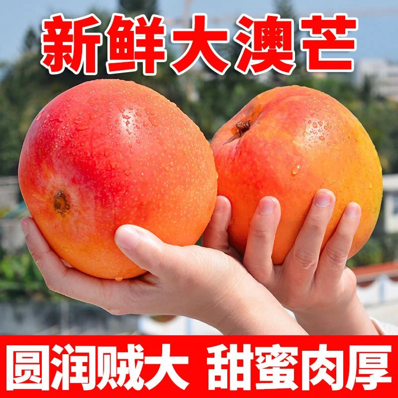 【爆甜】澳芒苹果芒彩虹芒果新鲜水果批发特大果整箱10斤凯特青芒