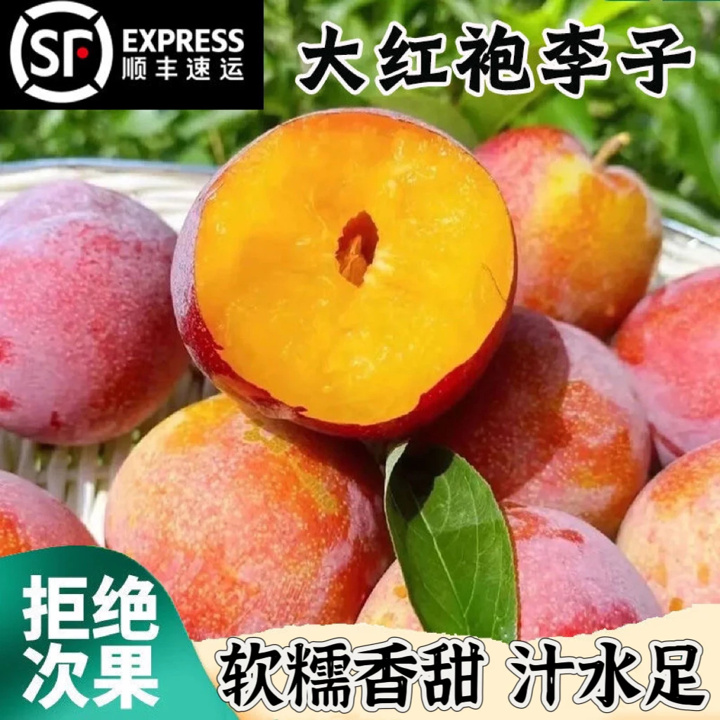 东北大红袍李子现摘现发果园直发3斤/5斤顺丰包邮