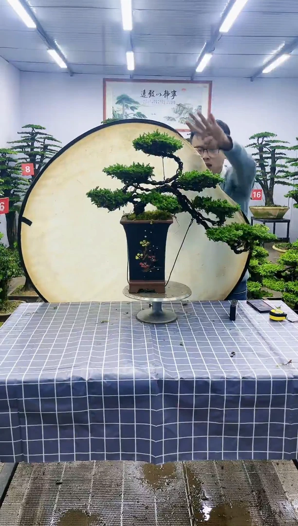 【闪购商品】一物一拍,所见即所得