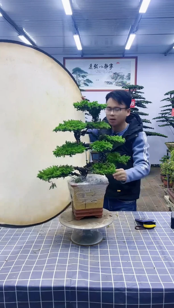 【闪购商品】一物一拍，所见即所得