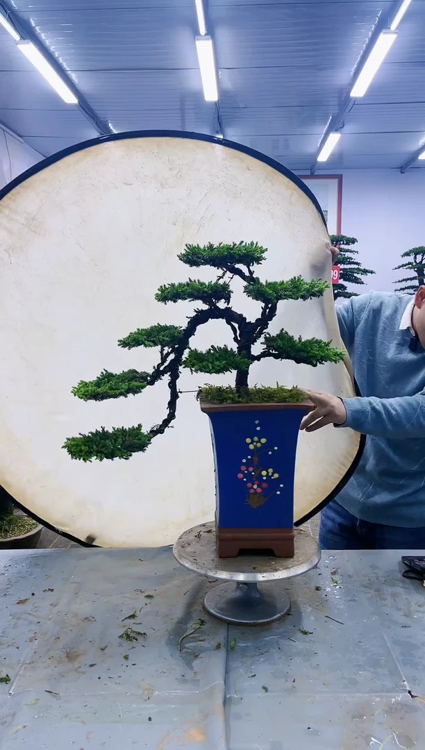 【闪购商品】一物一拍，所见即所得