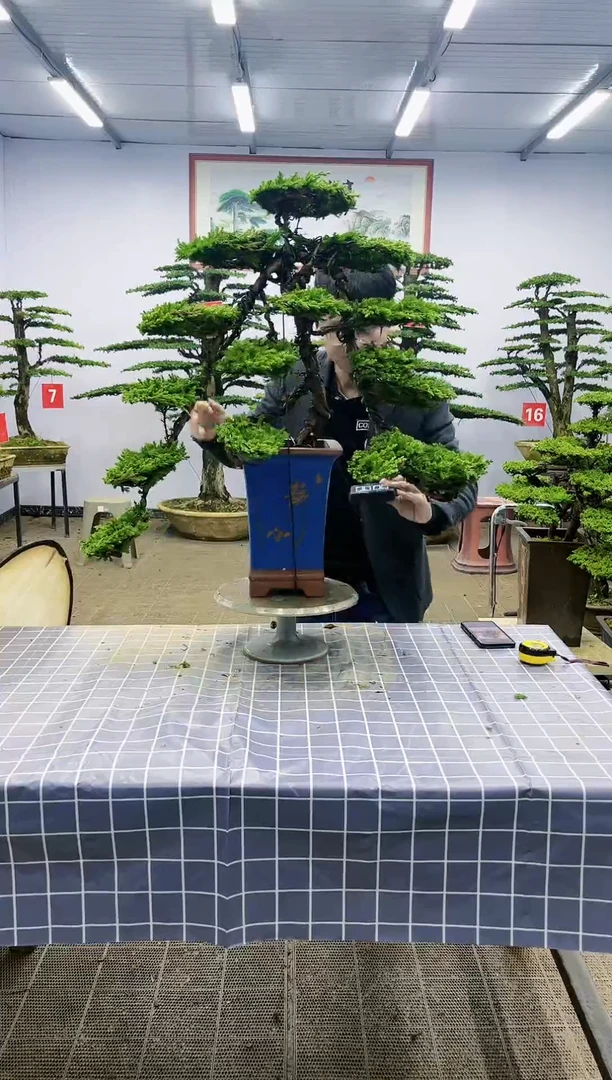 【闪购商品】一物一拍，所见即所得