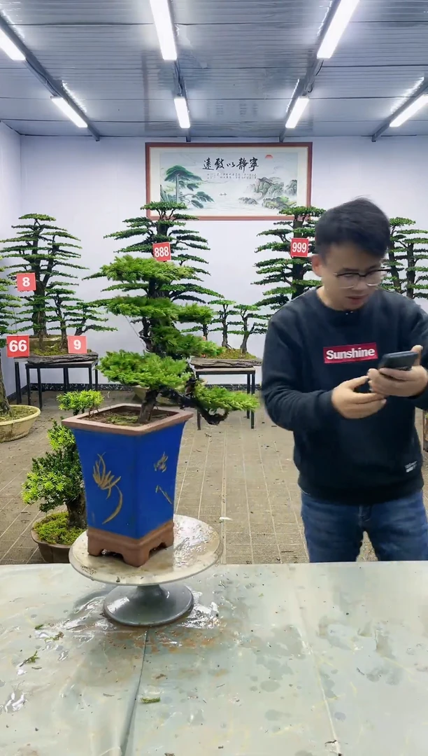 【闪购商品】一物一拍,所见即所得