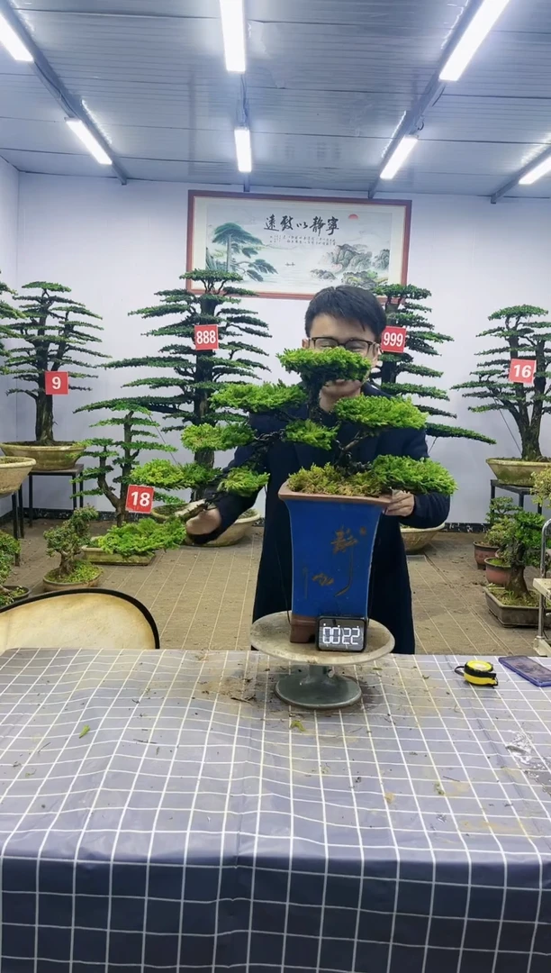 【闪购商品】一物一拍，所见即所得