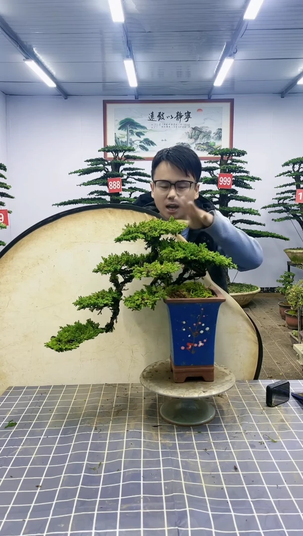 【闪购商品】一物一拍，所见即所得