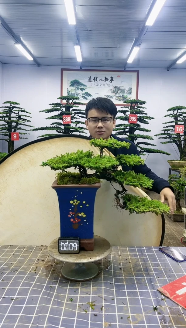 【闪购商品】一物一拍，所见即所得