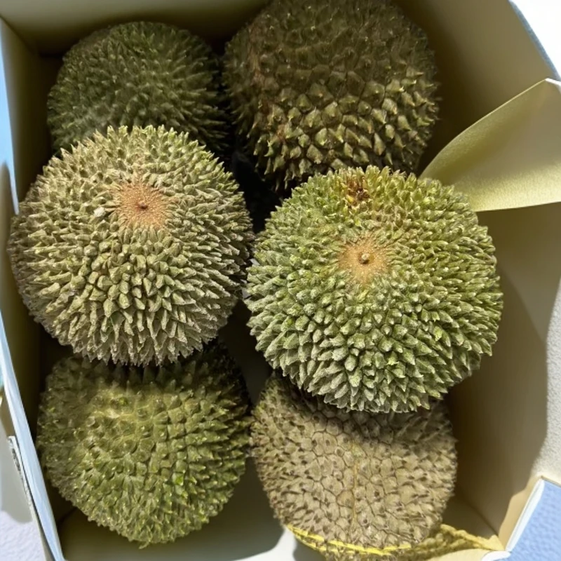 正宗马来西亚进口液氮冷冻AAA果【黑刺D200】一箱19-20斤单果保五房
