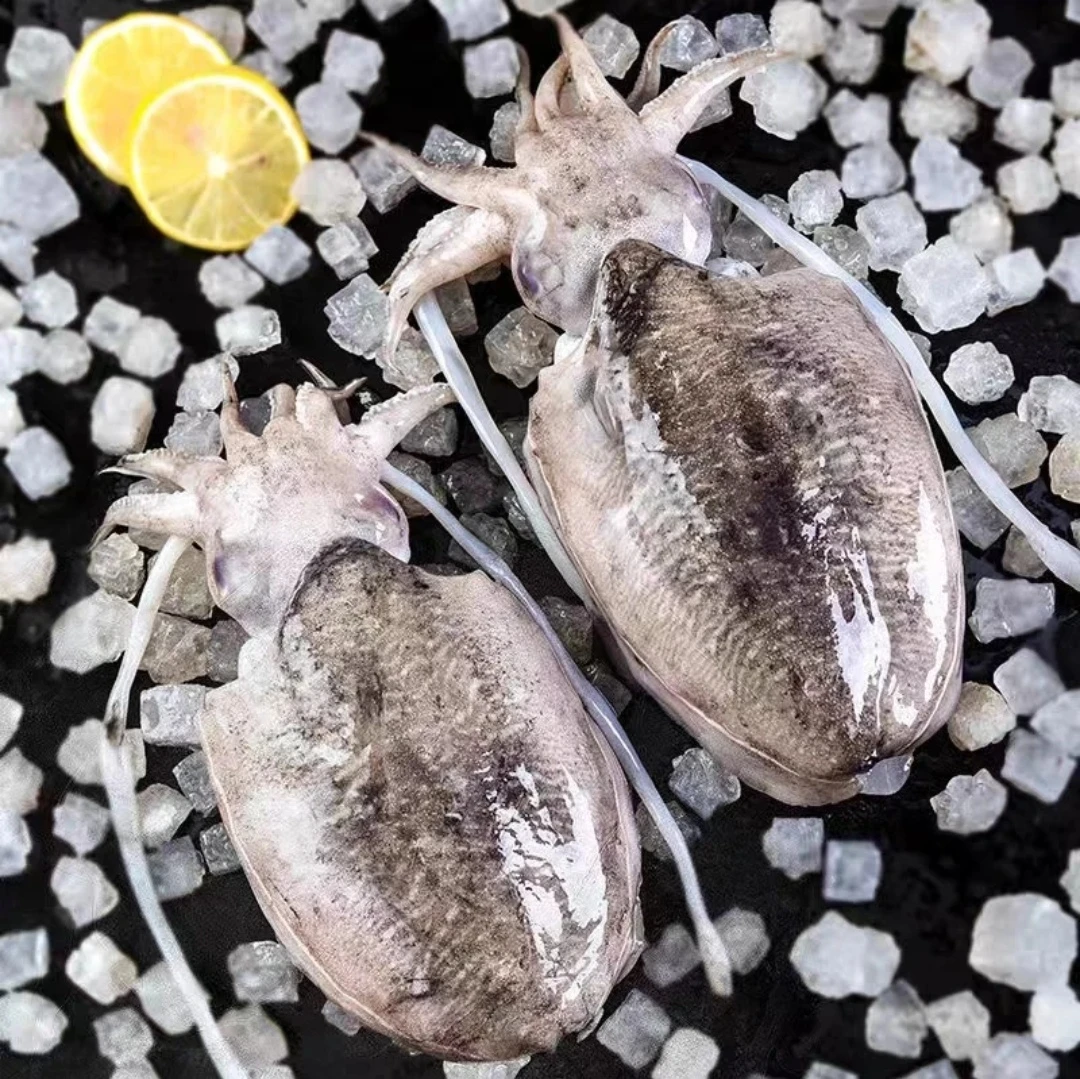 【大号】原汁墨鱼，共4斤，速冻后发货顺丰包邮青岛发货