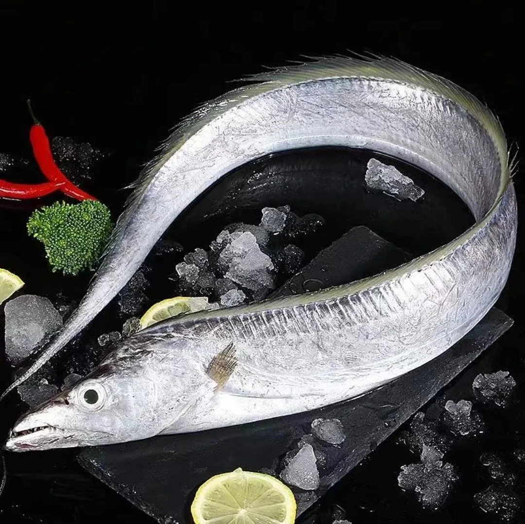 海捕钓钩带鱼,每条7-8左右两(5斤共6-7条鱼)速冻后发货