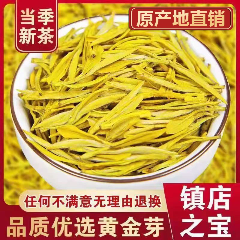 【新茶黄金芽】原产地春茶浓香型豆香味高山绿茶茶叶袋装罐装口粮茶
