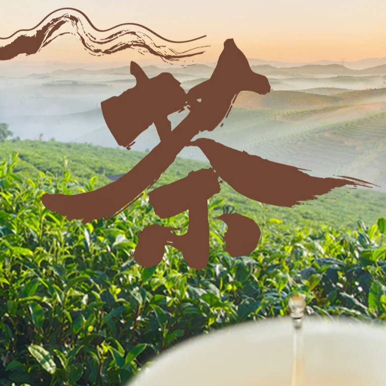 老曼峨错字1提普洱茶通用链接