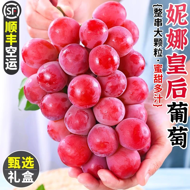 妮娜颗粒葡萄红宝石饱满无籽红提子多汁新鲜水果当季现摘精美礼盒