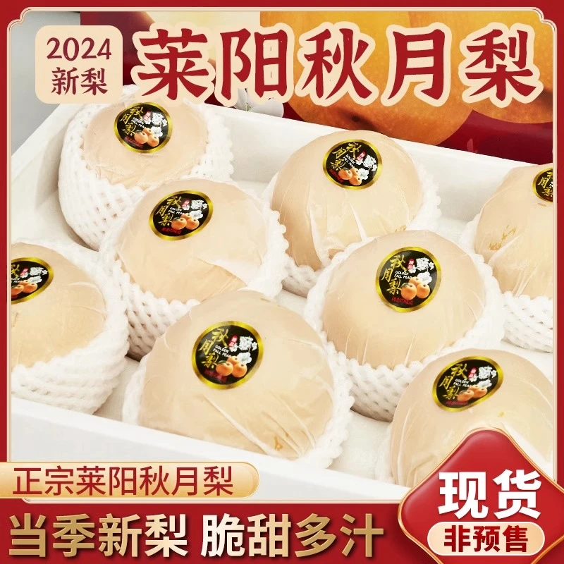 正宗山东秋月梨新鲜大果皮薄香甜细腻多汁甘甜当季孕妇水果礼盒装