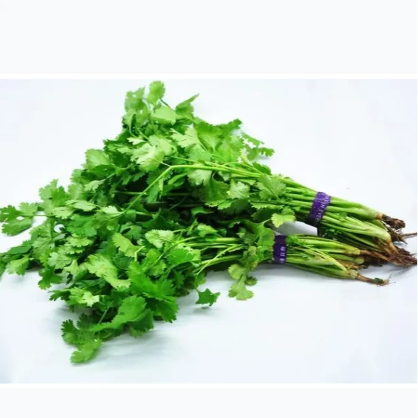 香菜（100g±10g）蔬菜