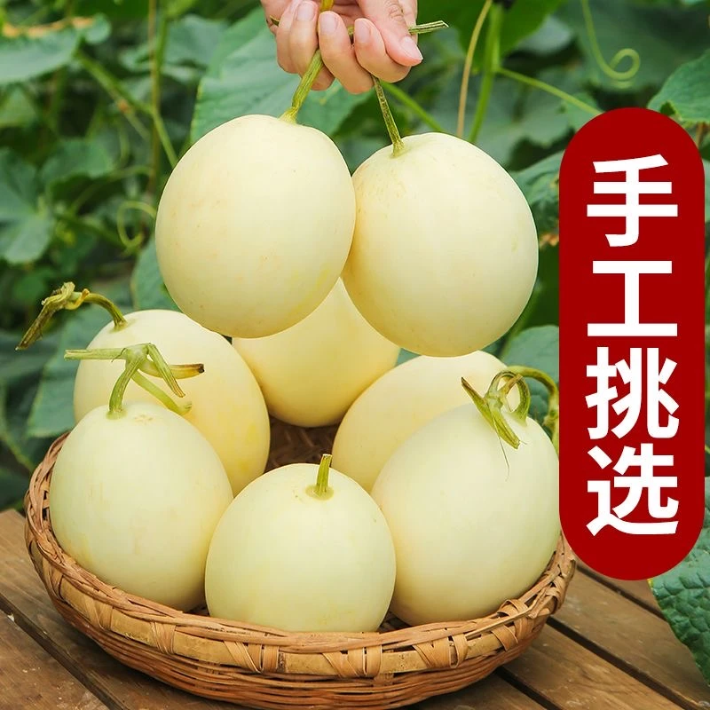 陕西头茬阎良甜瓜白皮甜瓜新鲜水果白皮脆甜香瓜带箱4.5-5斤RX