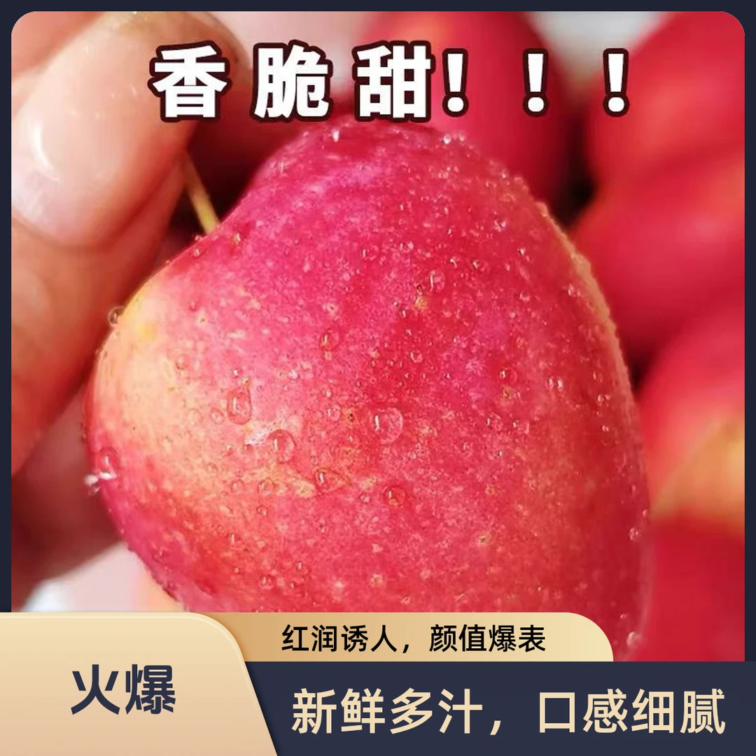 中大果鸡心果【酸甜可口】东北特产现采现发鸡心果