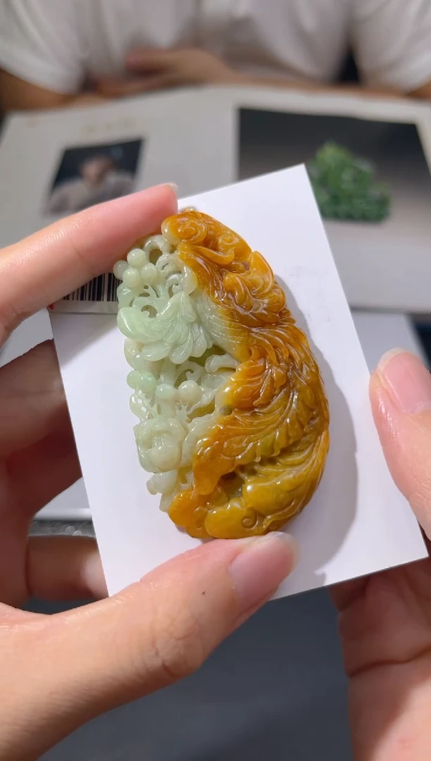 【闪购商品】翡翠颈饰未镶嵌1114lyc0158